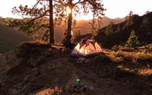 Camping Tent Underneath Tree on Cliff