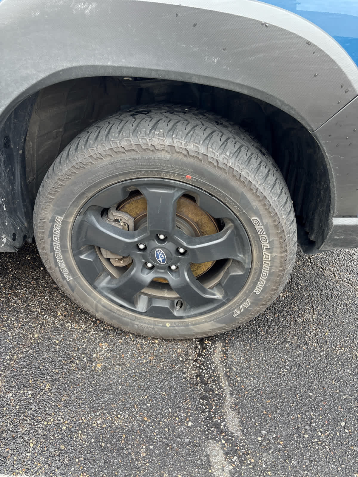 2024 Subaru Forester Wilderness