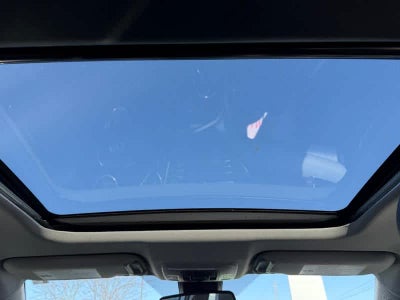 2019 Toyota Camry XLE Auto