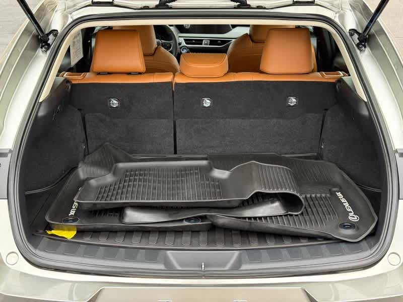 2021 Lexus UX UX 250h AWD