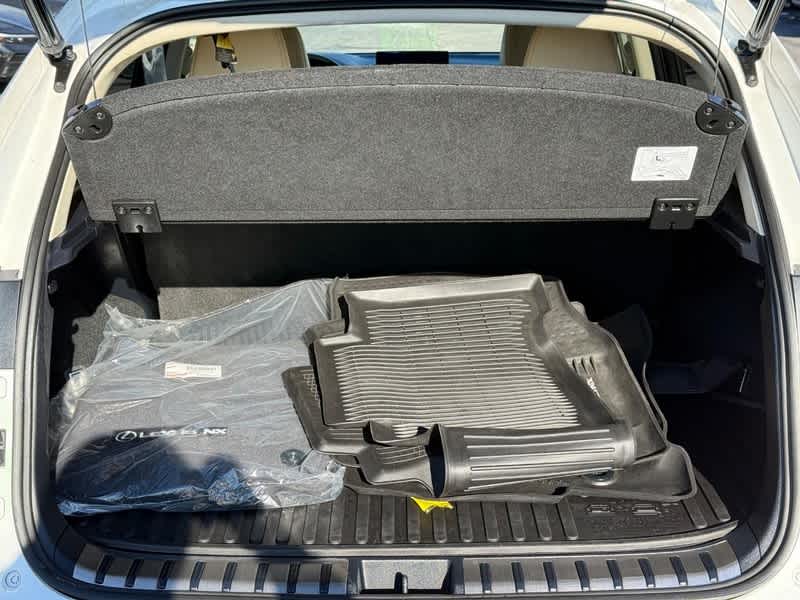 2020 Lexus NX NX 300h AWD